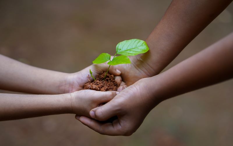 L’impegno sociale della Fondazione Oviv nel 2020