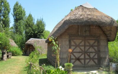 Gita del Pesce a PUNTA MARINA con visita all’ECOMUSEO DELLE ERBE PALUSTRI