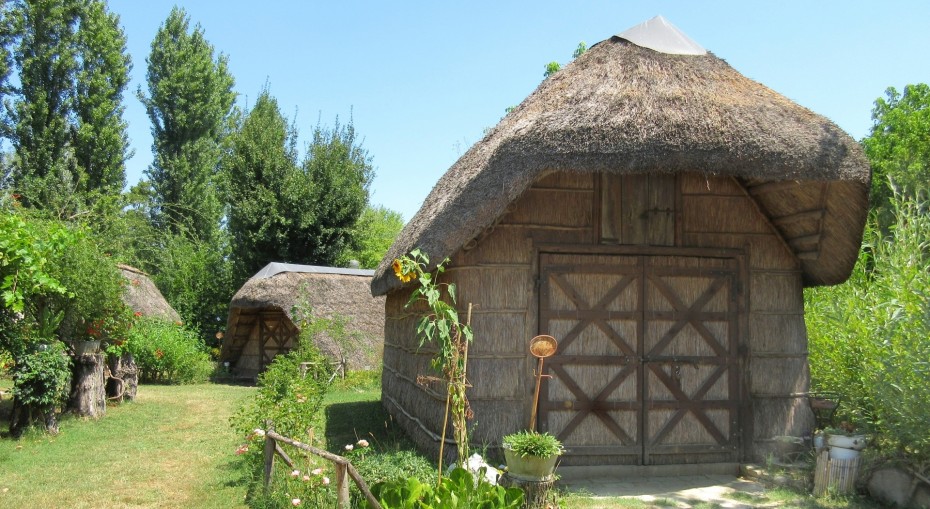 Gita del Pesce a PUNTA MARINA con visita all’ECOMUSEO DELLE ERBE PALUSTRI